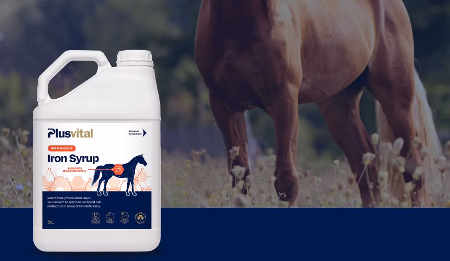 Plusvital Iron Syrup 5 liter 