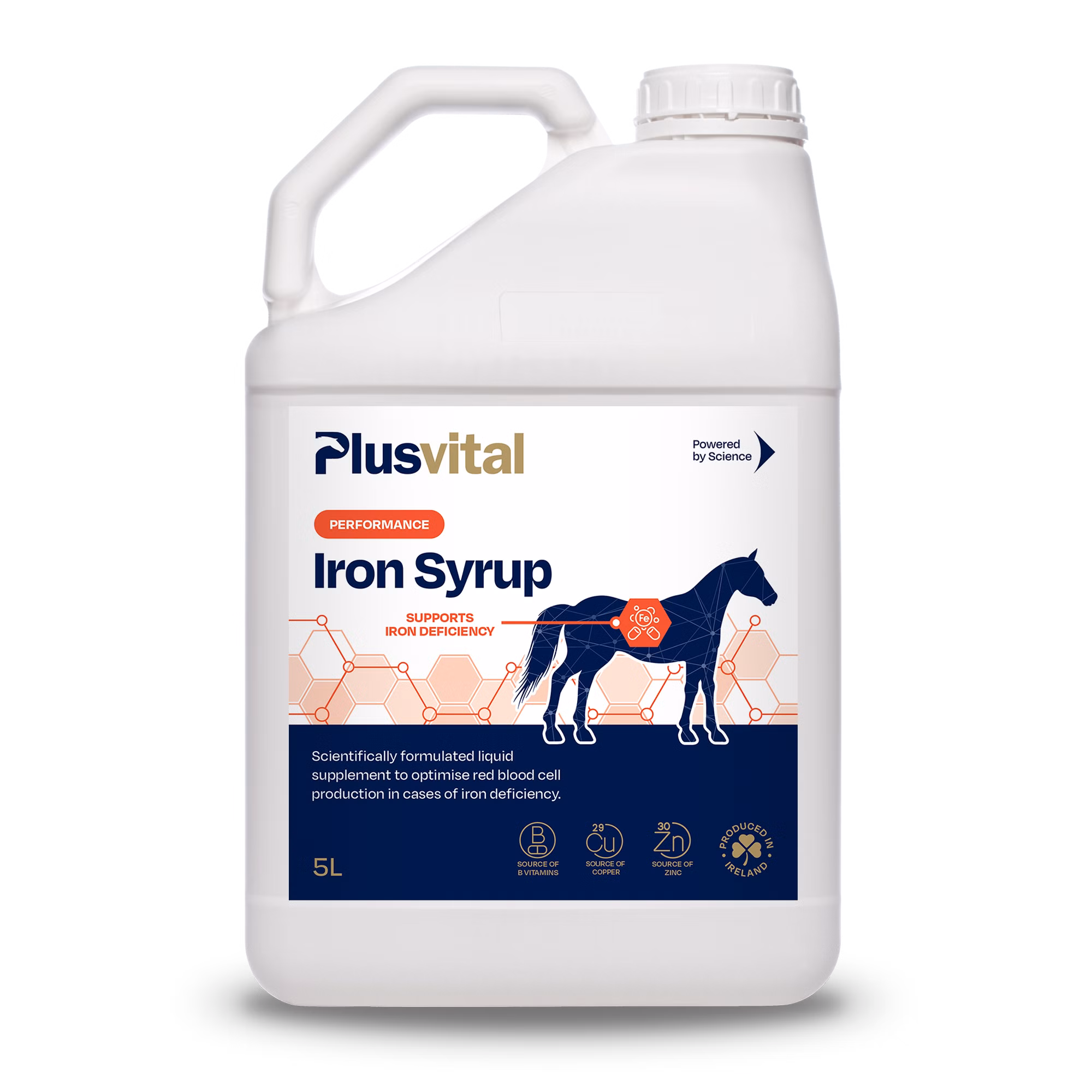 Plusvital Iron Syrup 5 liter 