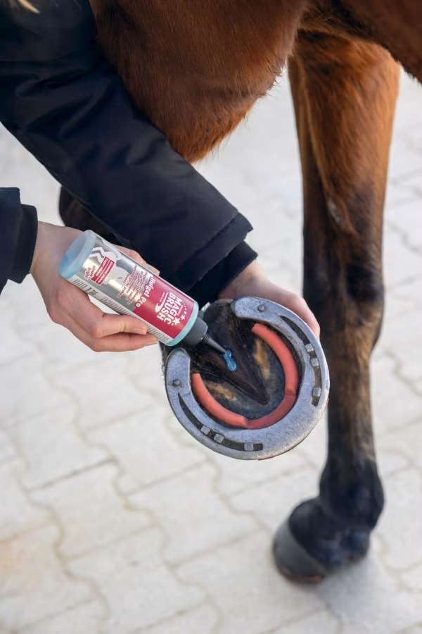 MagicBrush Hoof Gel Pro 200ml