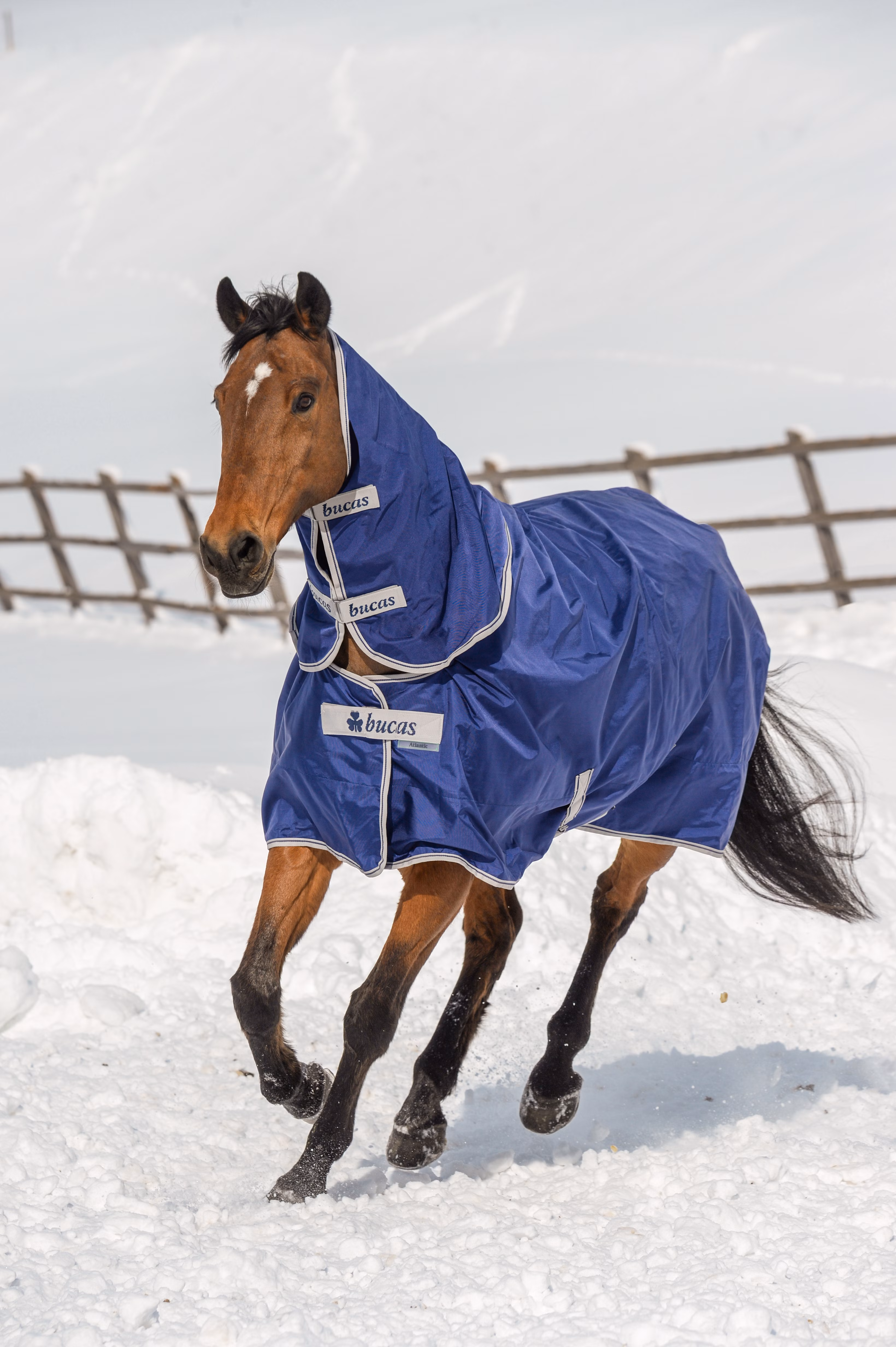 Atlantic Turnout Neck 300g