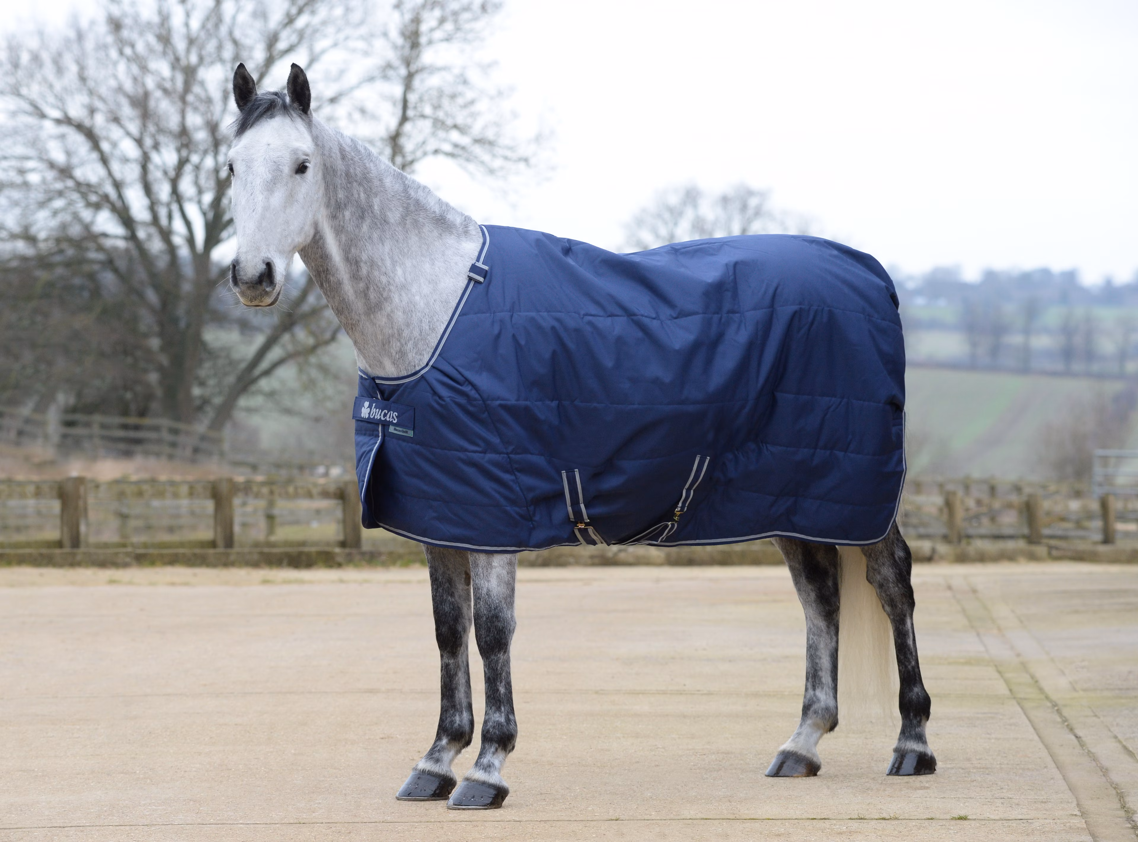 Bucas Quilt 150