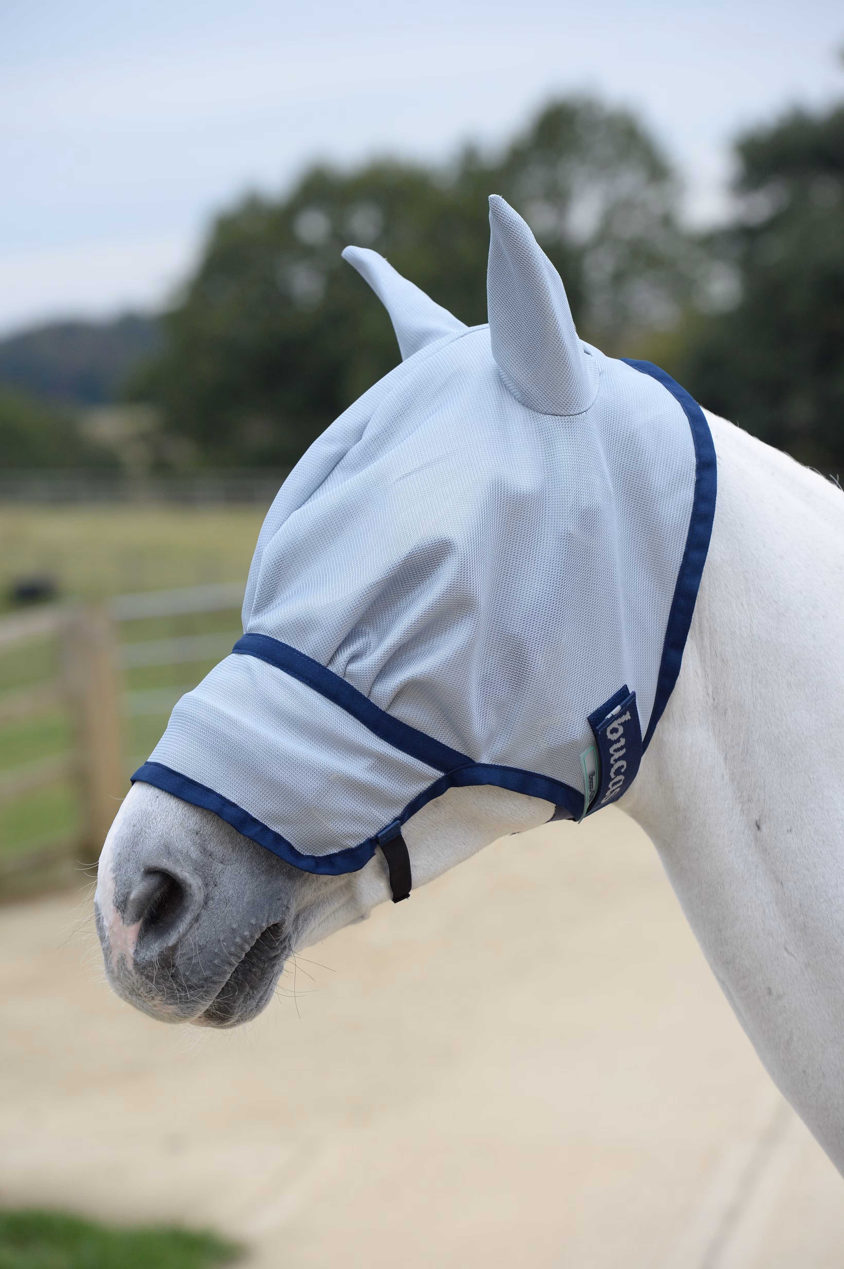 Buzz-Off Extended Nose