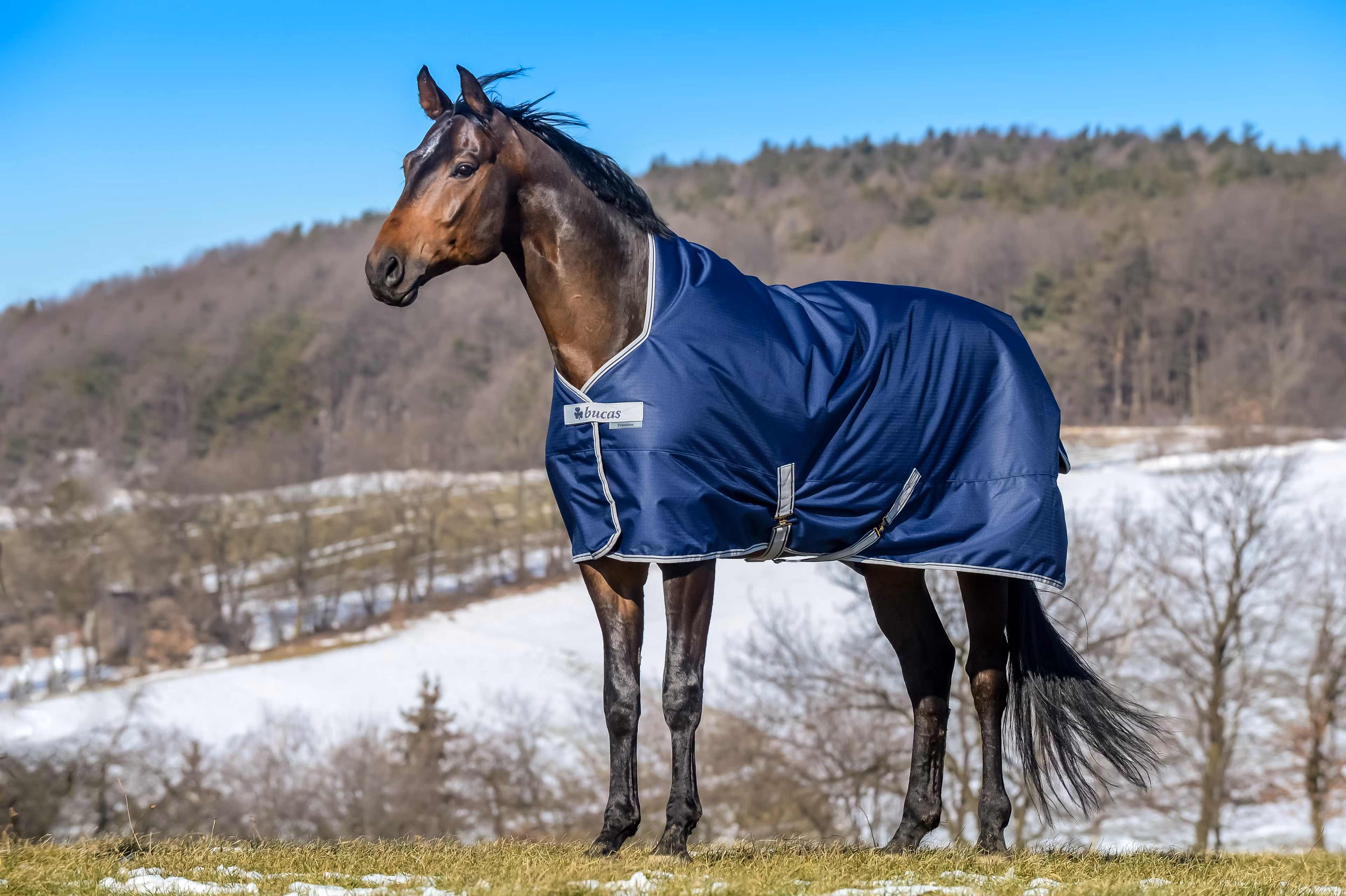 Freedom Turnout High Neck 150