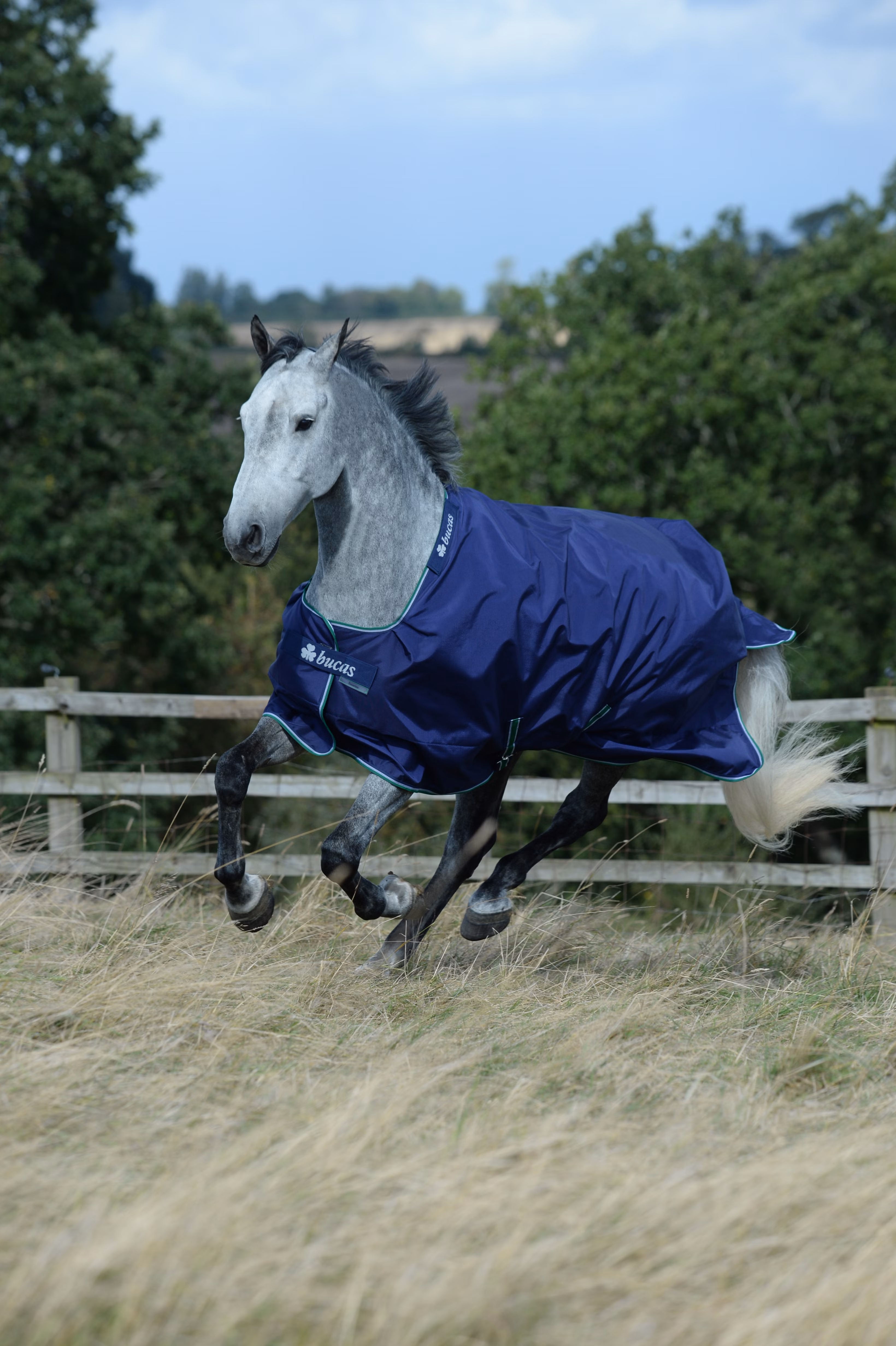 Smartex Medium Blue