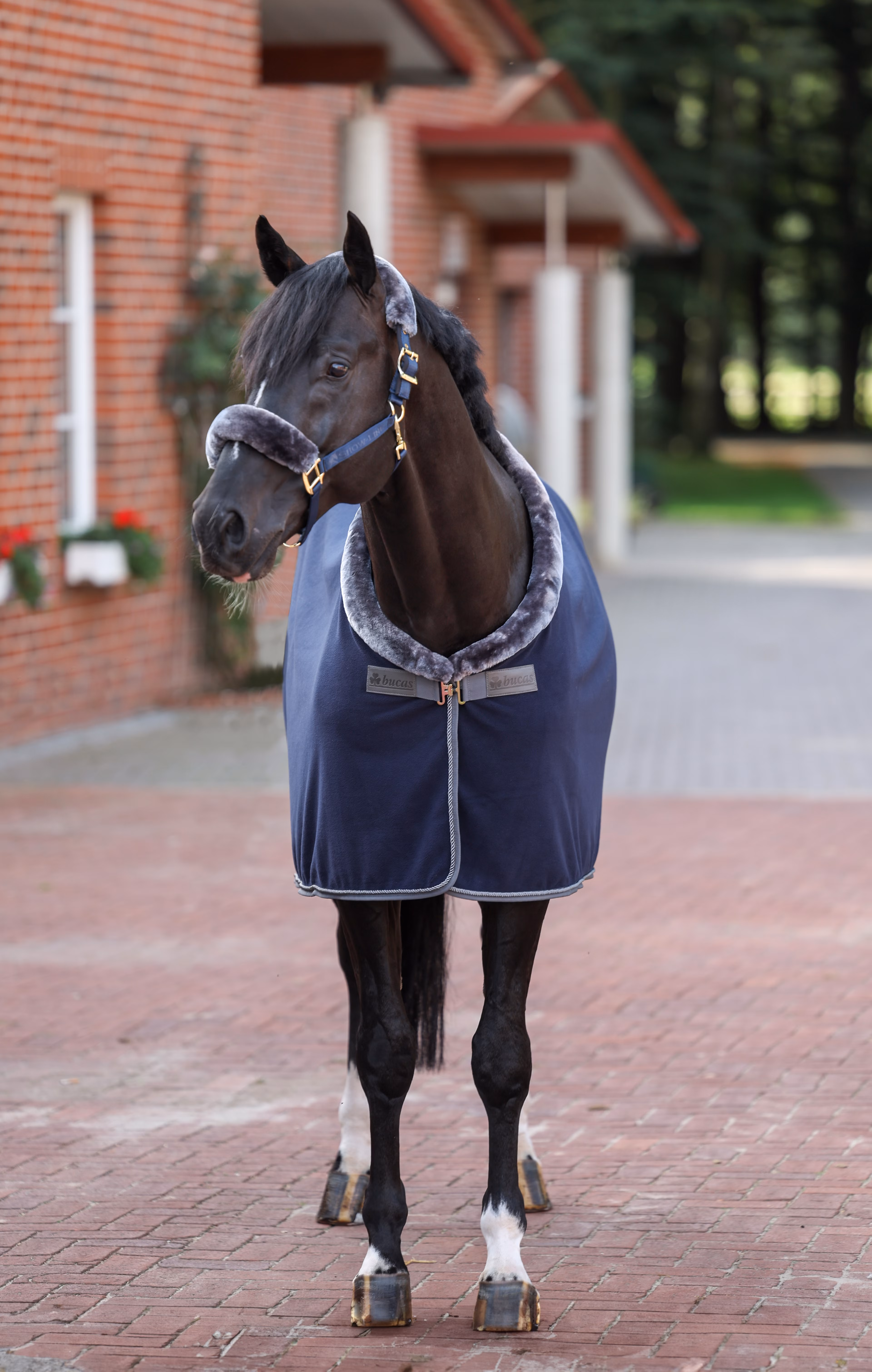 Show-Line Fleece