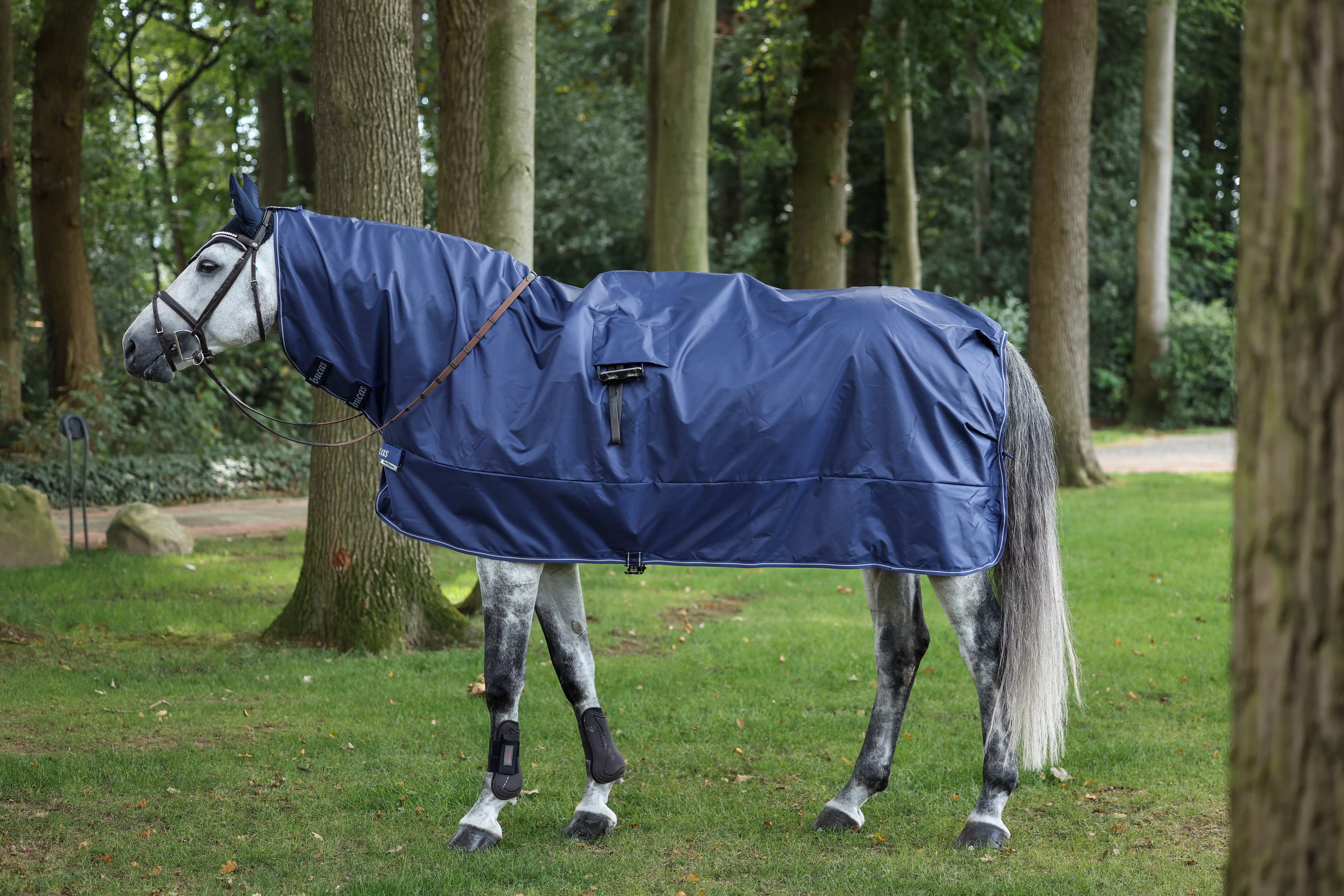 Rain Protector