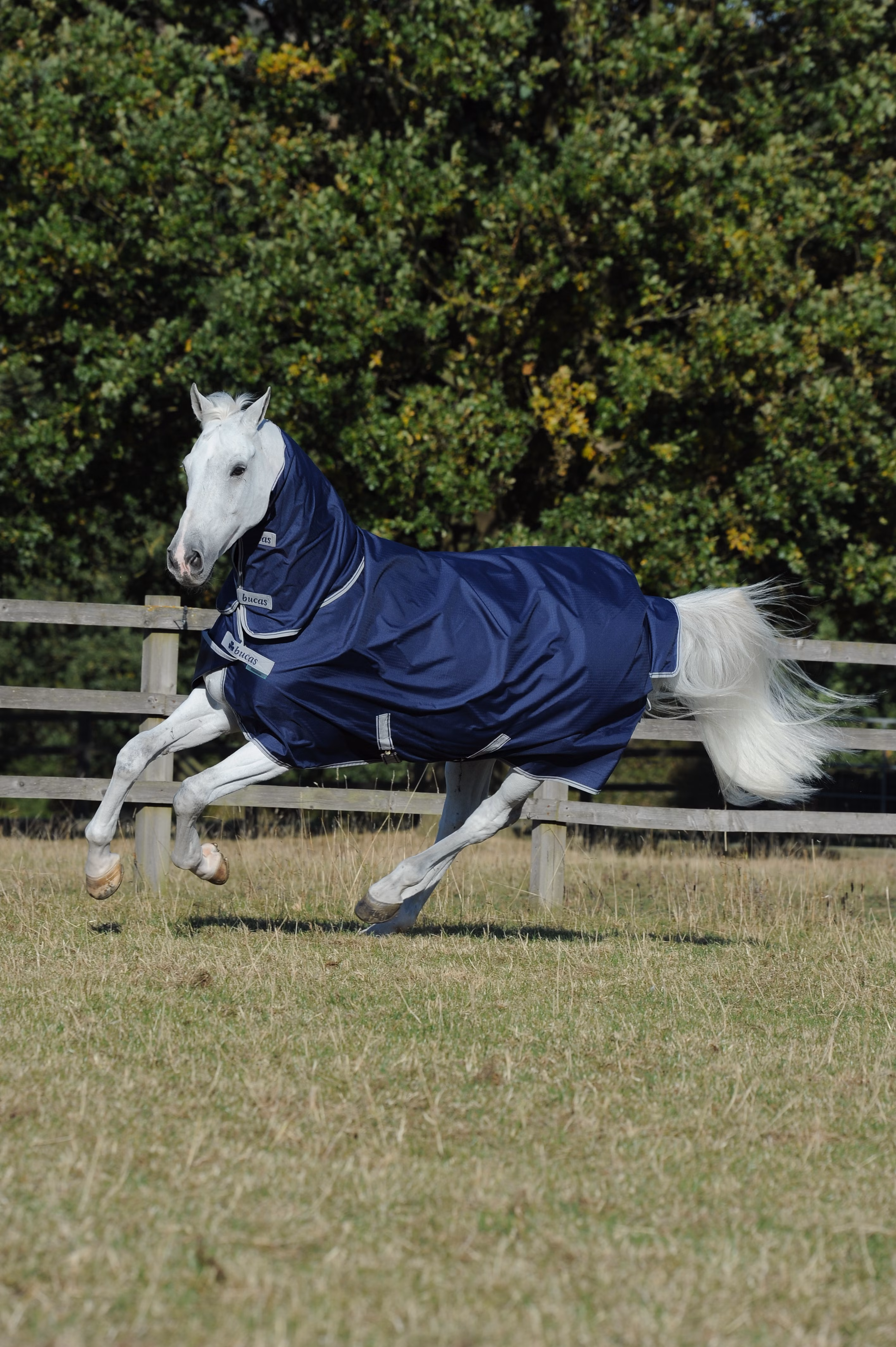 Freedom T/O Light F/N Navy/Silver