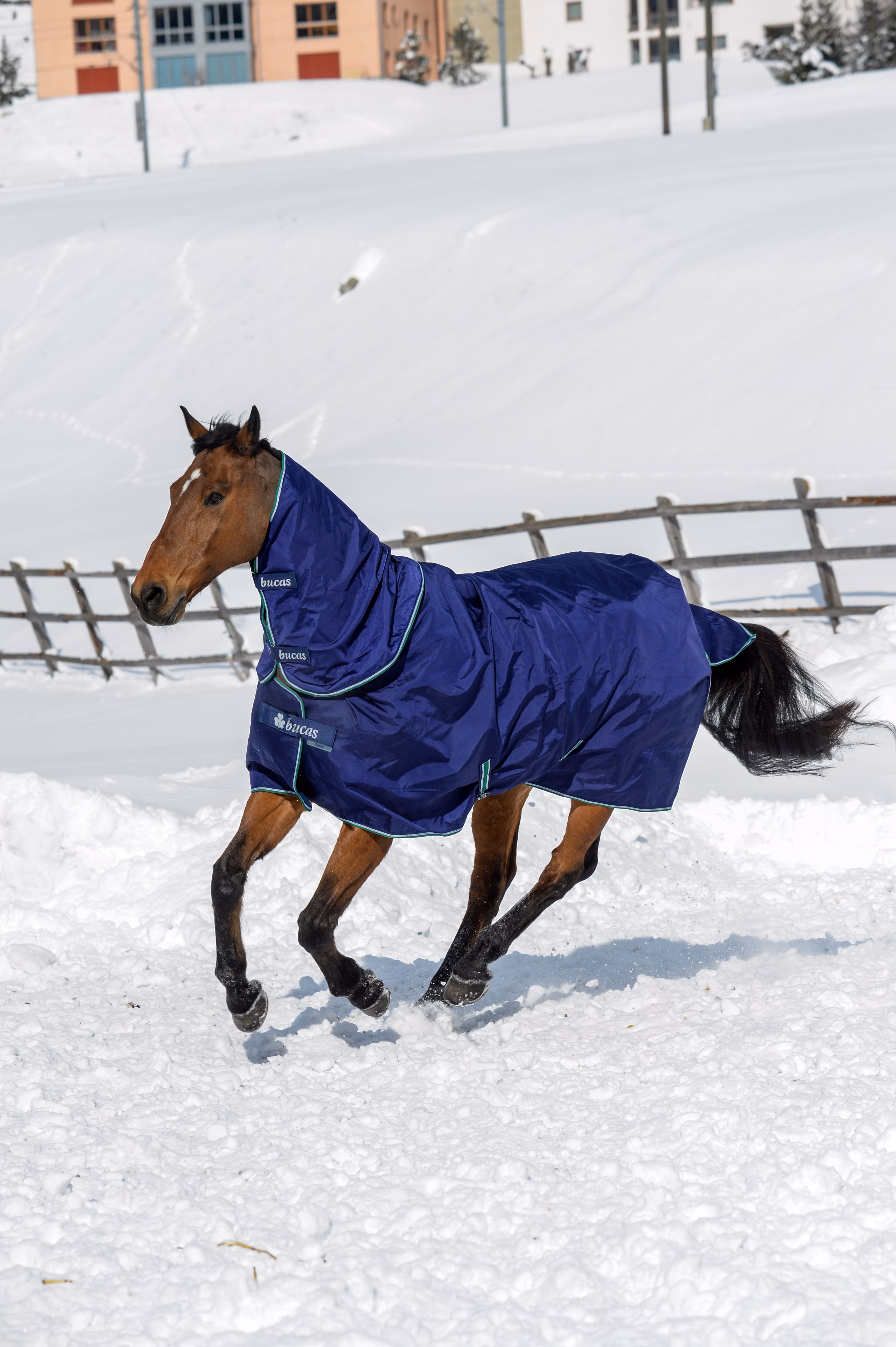 Smartex Neck Blue