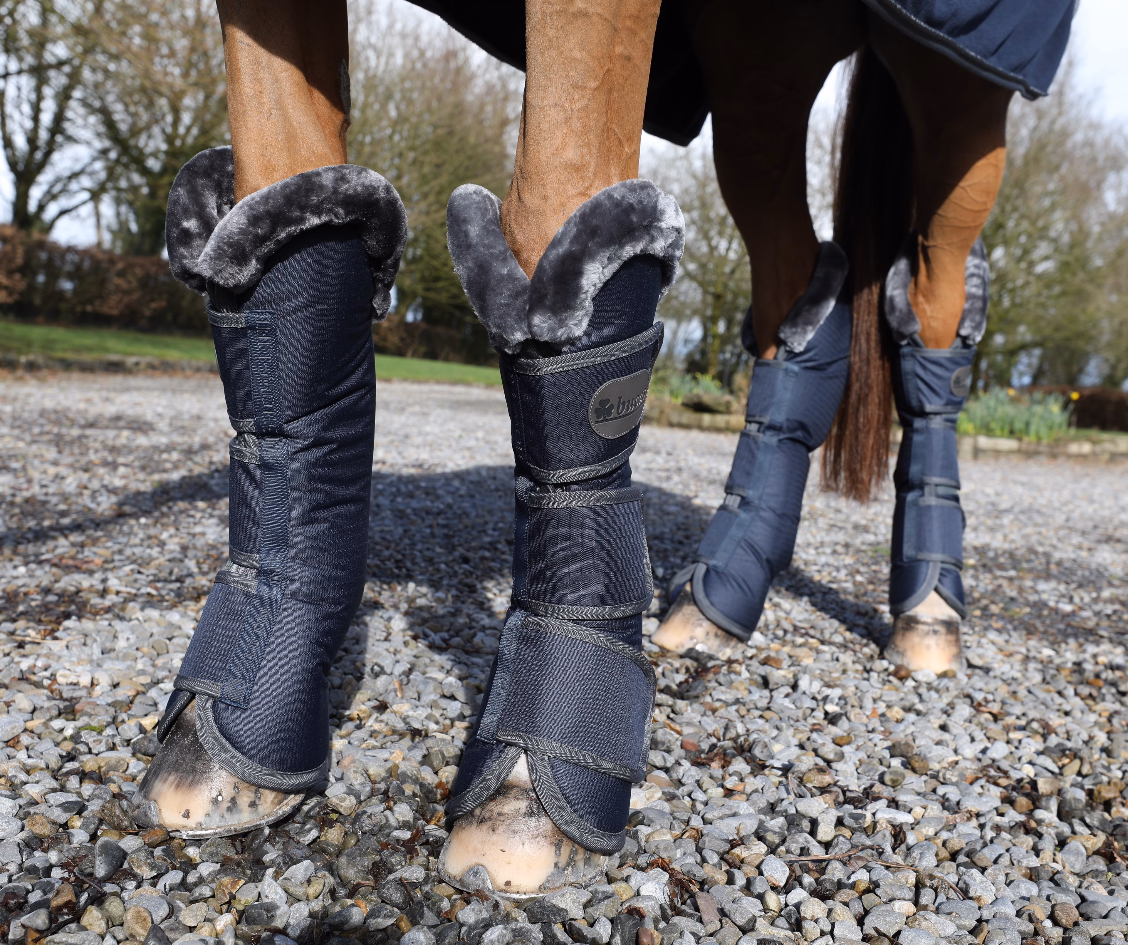 Show-Line Boots