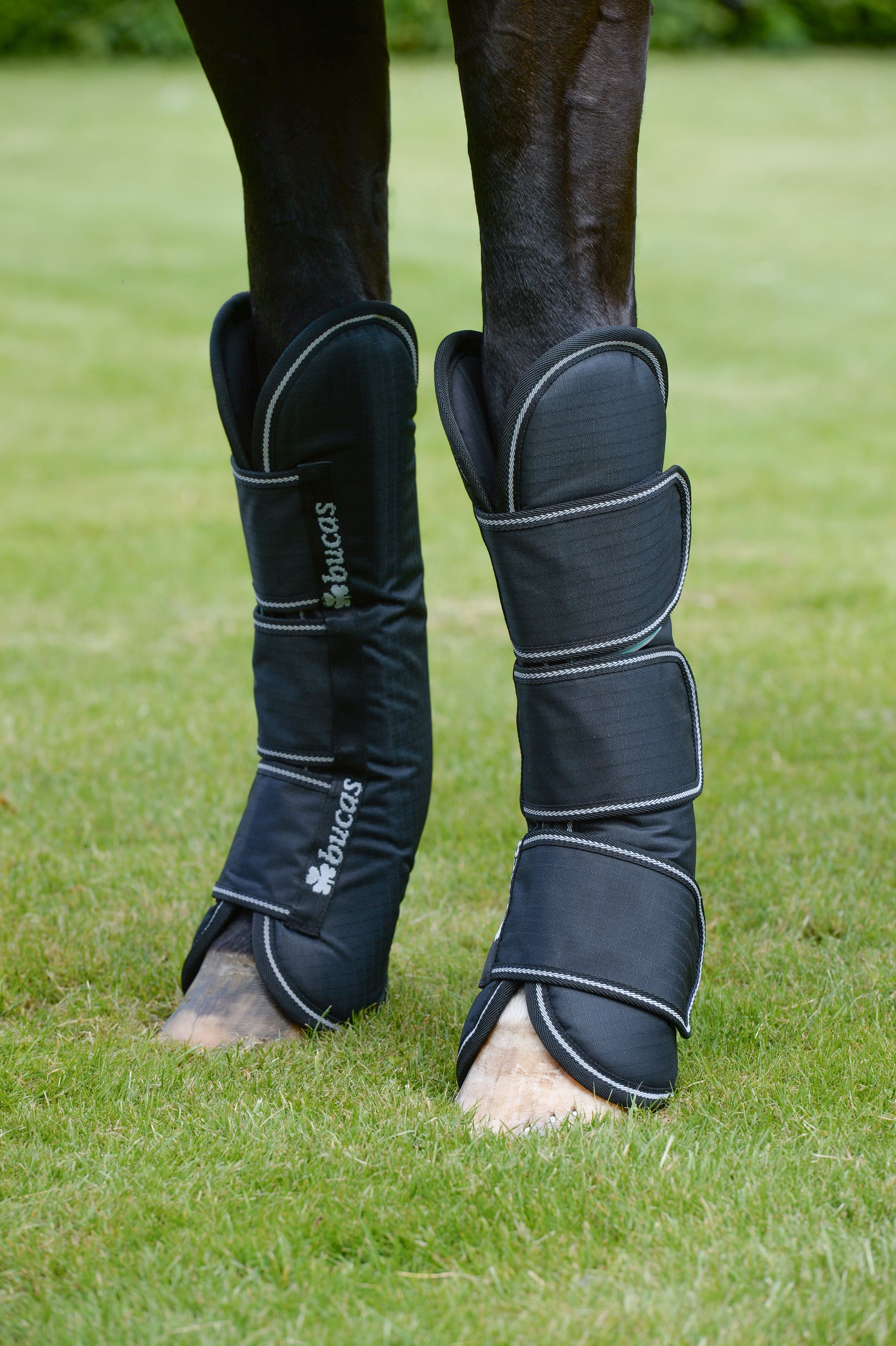 Freedom Boots