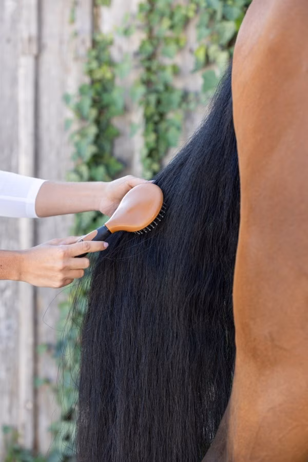 Covalliero Mane Brush 2K