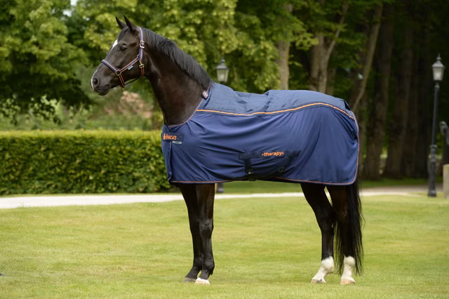 Bucas Therapy Cooler Big Neck