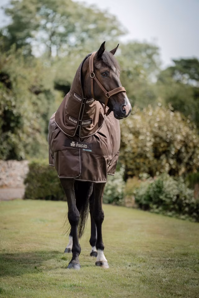 Irish Turnout 50 g + Neck - Espresso