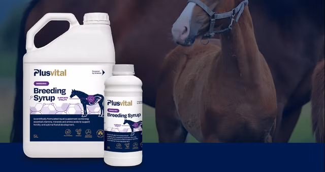 Plusvital Breeding Syrup