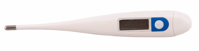 Termometer Heimer