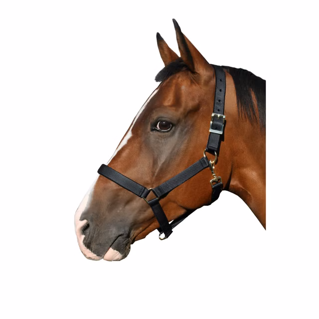 Grime Heimer Soft Svart