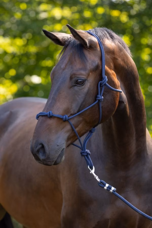 Taugrime Navy Pony
