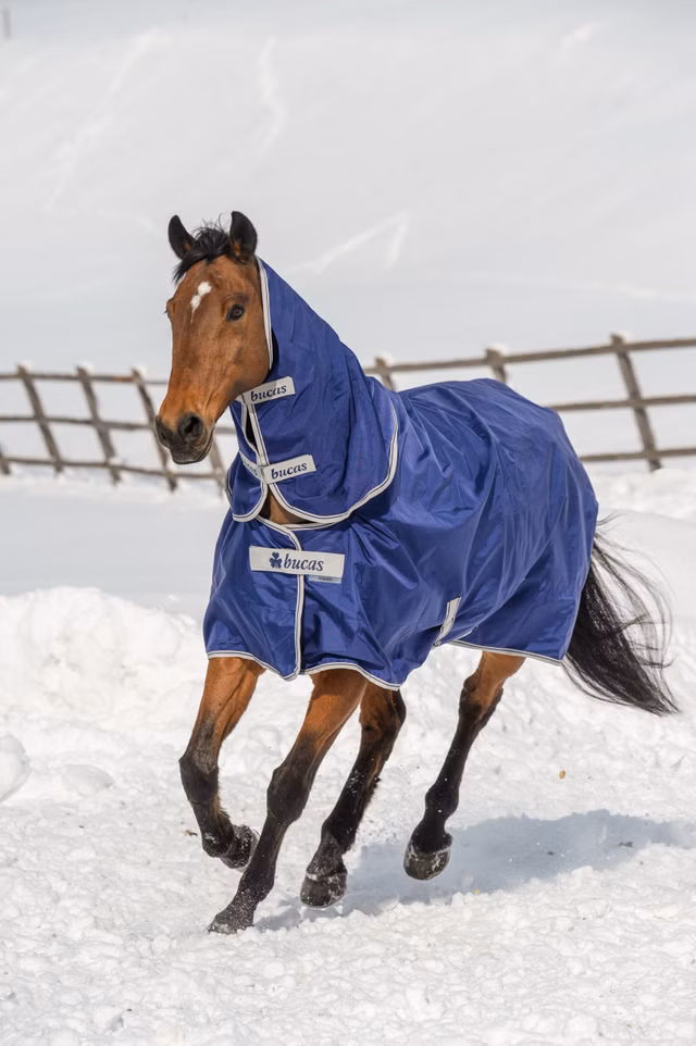 Atlantic Turnout Neck 300g