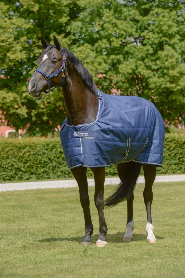 Bucas Quilt 50
