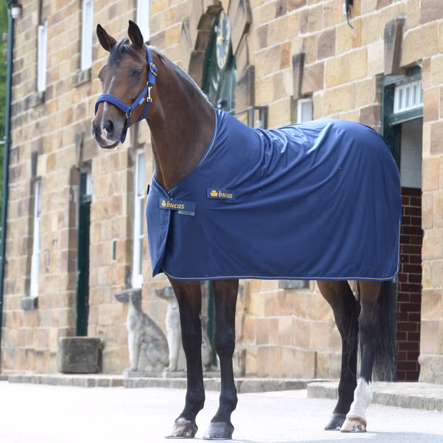 Panel Prize Cooler Navy/Gold