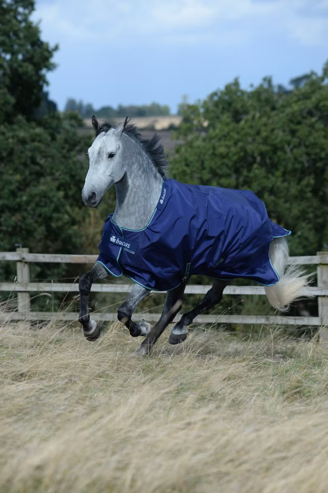 Smartex Medium Blue