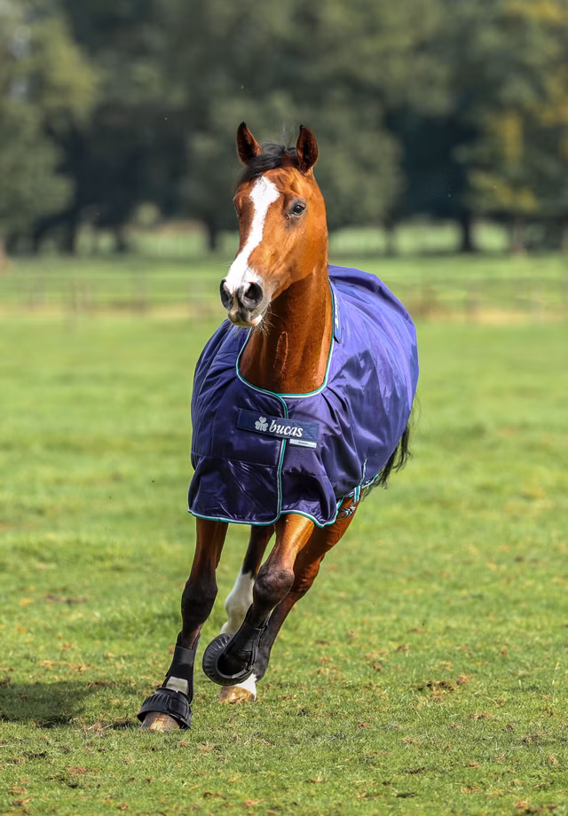 Smartex Rain Blue