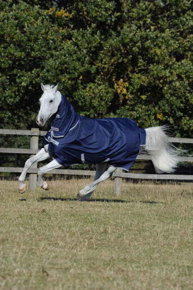 Freedom T/O Light F/N Navy/Silver